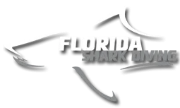 Florida Shark Diving