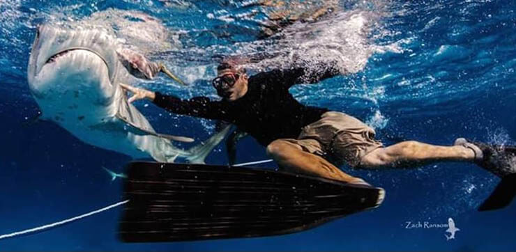 An image of our owner/founder and experienced shark diving professional Captain Bryce Rohrer on the boat in Jupiter Florida.