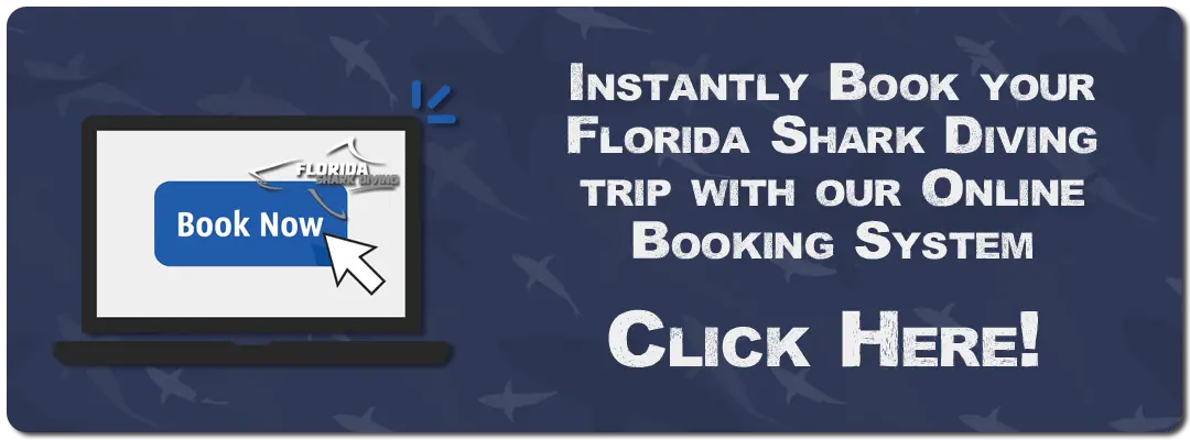 Instantly Book your Florida Shark Diving trip with our online booking system!